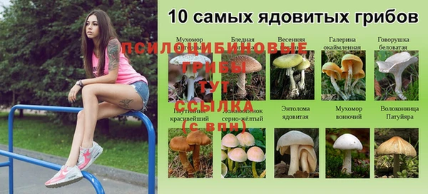 ешки Вязьма