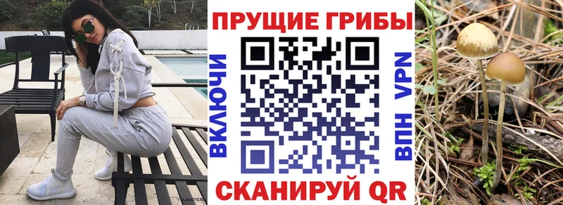 Галлюциногенные грибы мицелий  Купить где  Знаменск 